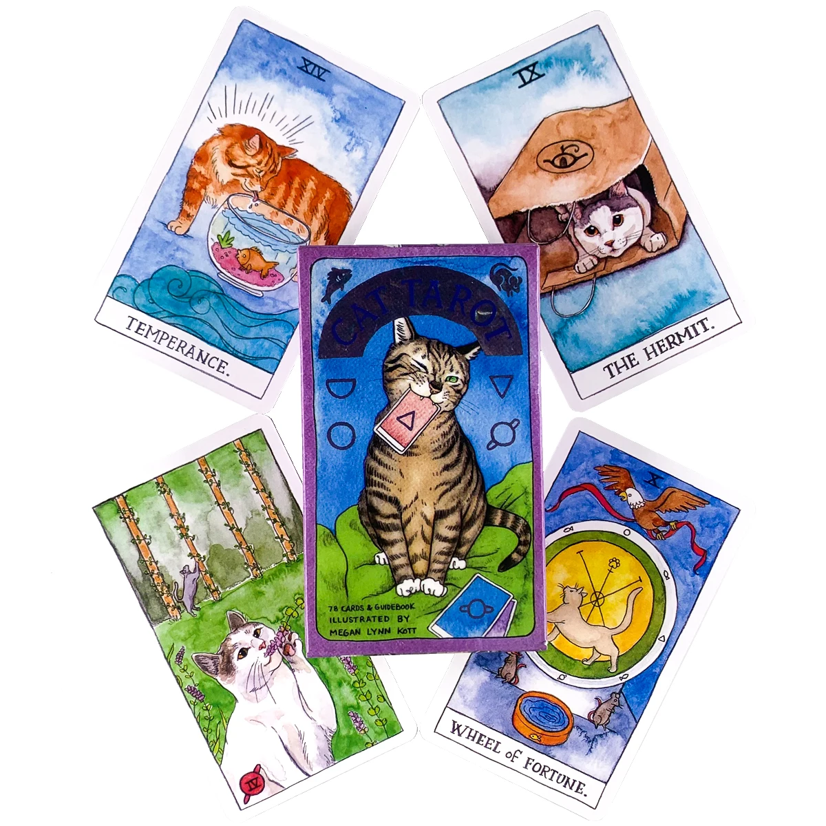 Baralho de Tarot Halloween, Oracle Card, Gato Preto, Pumpkin Pattern, Jogos  de Baralho, 11.3x6.3x3.2cm, 78Pcs - AliExpress