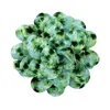 50/100pcs Remove Tie-Dye Dog Bow Ties Flower-Collar Sliding Pet Dog Collar Accessories Large Dog Bowties Pet Grooming Products 2