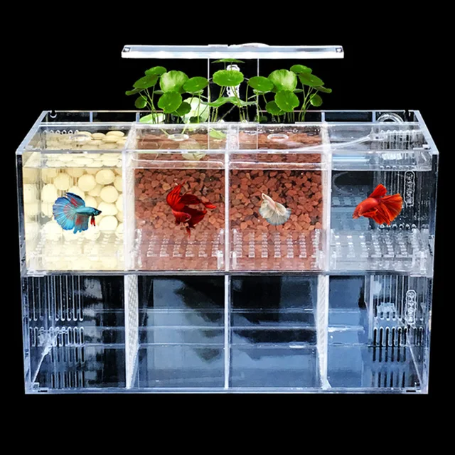 Acrylic Isolation Fish Tank with Multiple Compartments Stacked and Transparent Breeding Box Goldfish Fighting Fish Viewing Tank 3