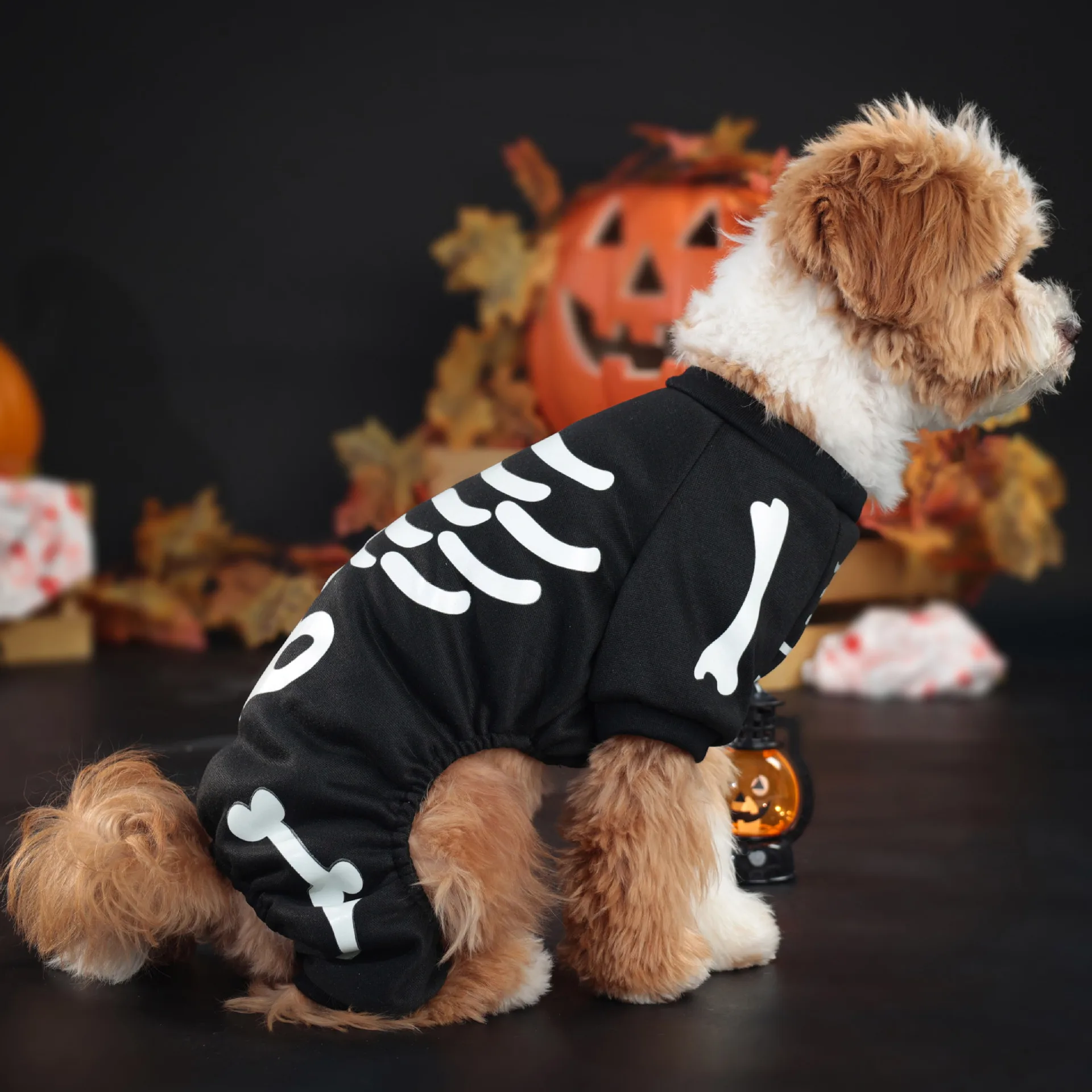 Combinaisons Fluorescentes pour Petits Chiens - Os de Crâne - Sweat à Quatre Pattes - 2025 - Vêtement et accessoires pour chiens - Doglovedesign
