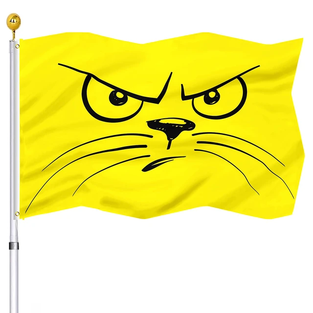 Cartoon Cat Flag Yellow Angry Face Emoji Flags Double Stitched with Brass  Grommets Dorm Indoor Outdoor Home Decor for Women Men - AliExpress