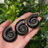 1pc Gold Obsidian Carving, Conch, Crystal Carving, Spiritual Symbol, Healing Crystal, Crystal Collection, Gift, Home Decor 4