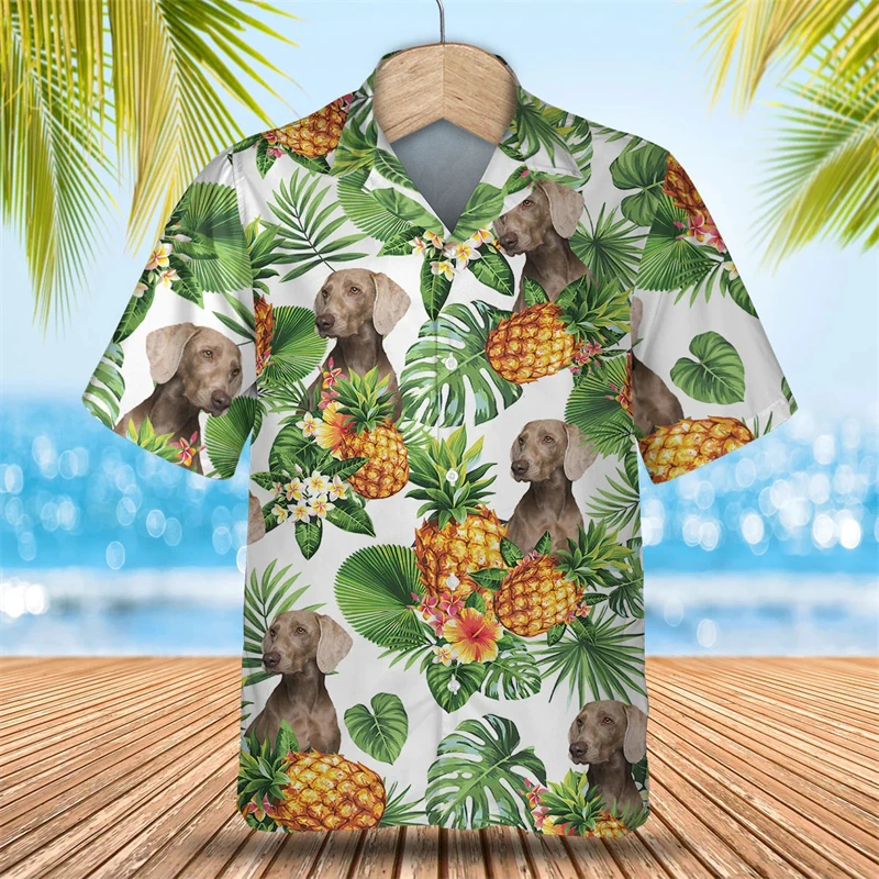 thumbnail image 1 of Camisa social para uso diario, camisas para hombre, blusa Weimaraner de manga corta con estampado de animales en 3D, camisetas casuales, ropa masculina de gran tamaño, 1 of 5