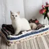 Large Size Flannel Dog Bed Thicken Cat Bed Sleeping Mat Dog Mat Blanket For Puppy Kitten Dog Bed Rug for Small Medium Large Dog 5