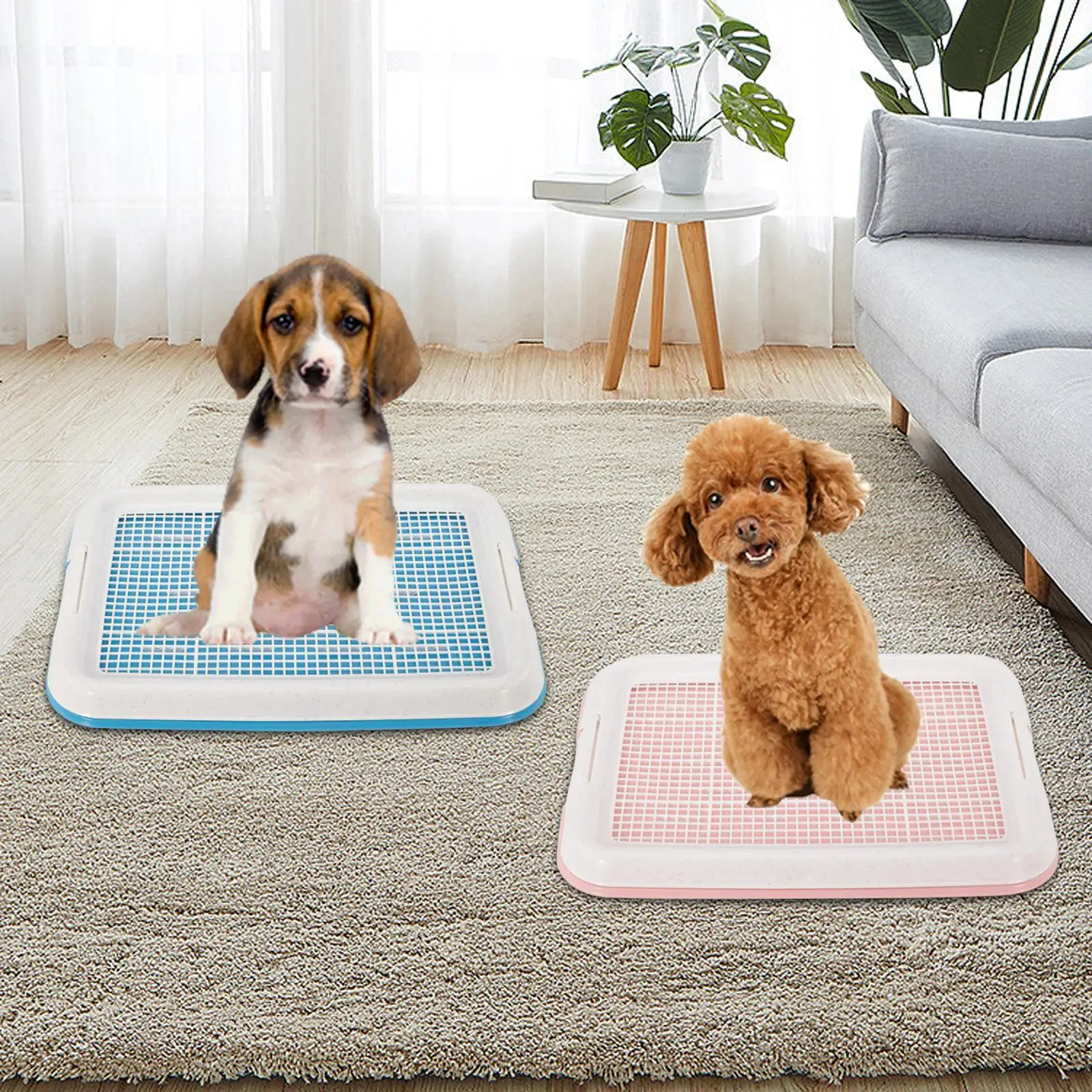 Dog Potty Training Tray for Small Size Dogs