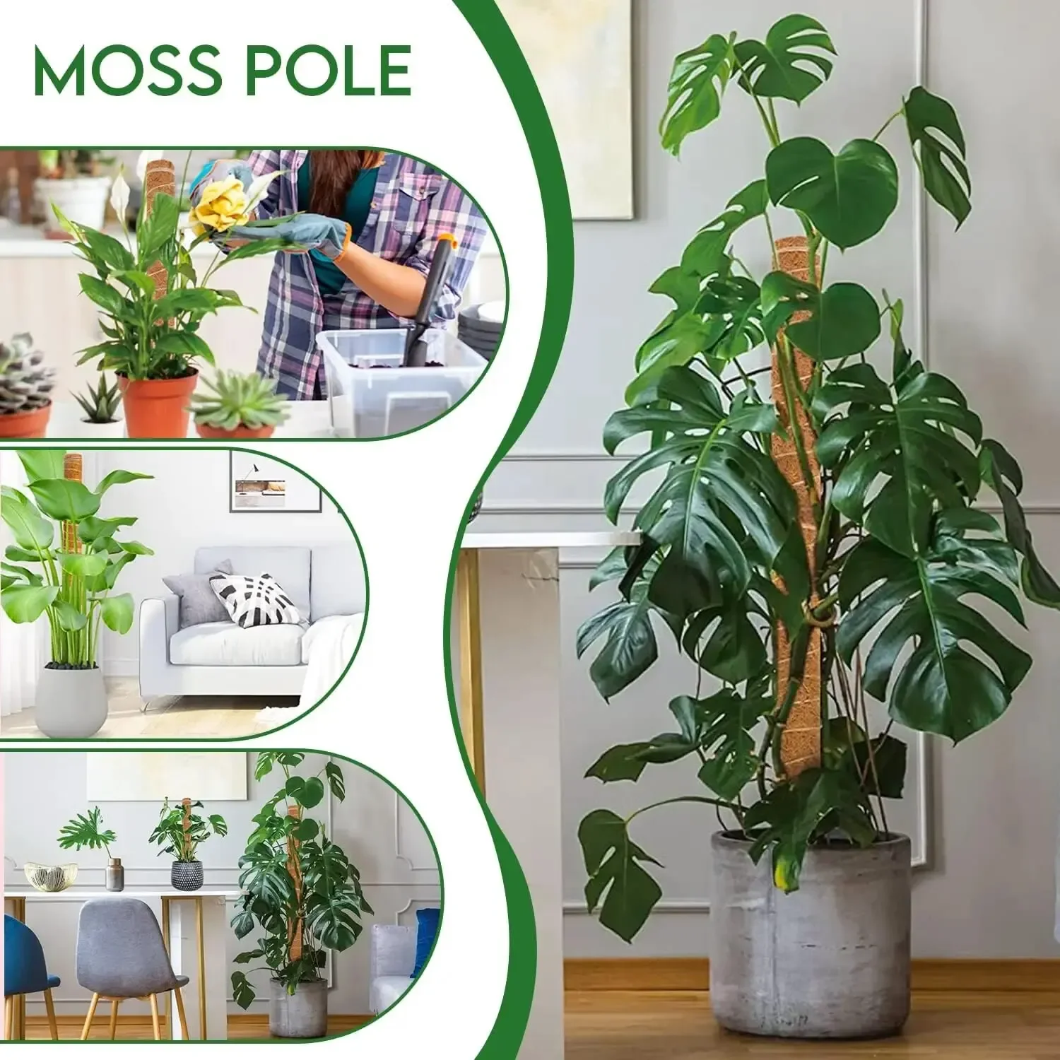 Extendable Handmade Moss Pole For Plants Plant Climbing Rod Plant Pole For Climbing Plants Real Handmade Moss Stick Plant Climbing Support Plant Support Stick