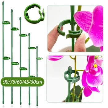 90/60/30cm Plant Support Stakes Adjustab Garden Single Stem Flower Stand Plant Stick Support Potted  for Plants Floral Vegetable