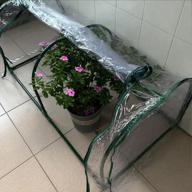 Transparent Garden Warmer Cover Vegetable Flower and Plant Insulated Warming Shed Greenhouse Warming Sunroom Rainproof Cover New 5