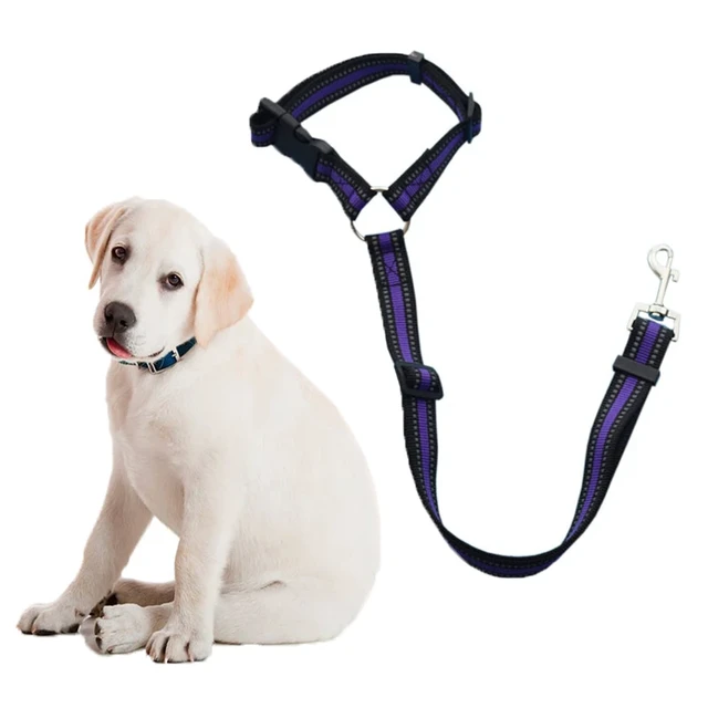 Correa ajustable para perros y gatos, arnés para cinturón de seguridad de  coche, Collar de tracción de plomo, suministros para mascotas - AliExpress