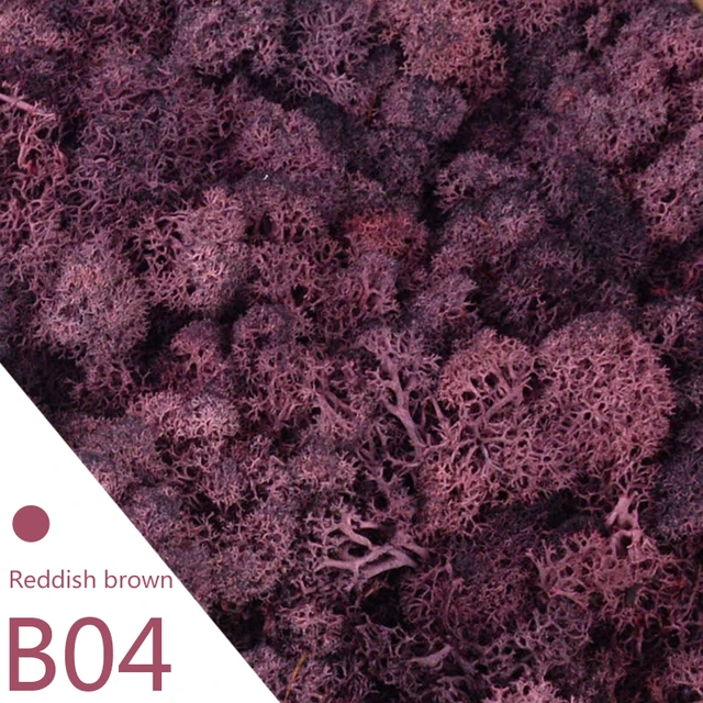 B04