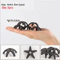 Starfish 5pcs