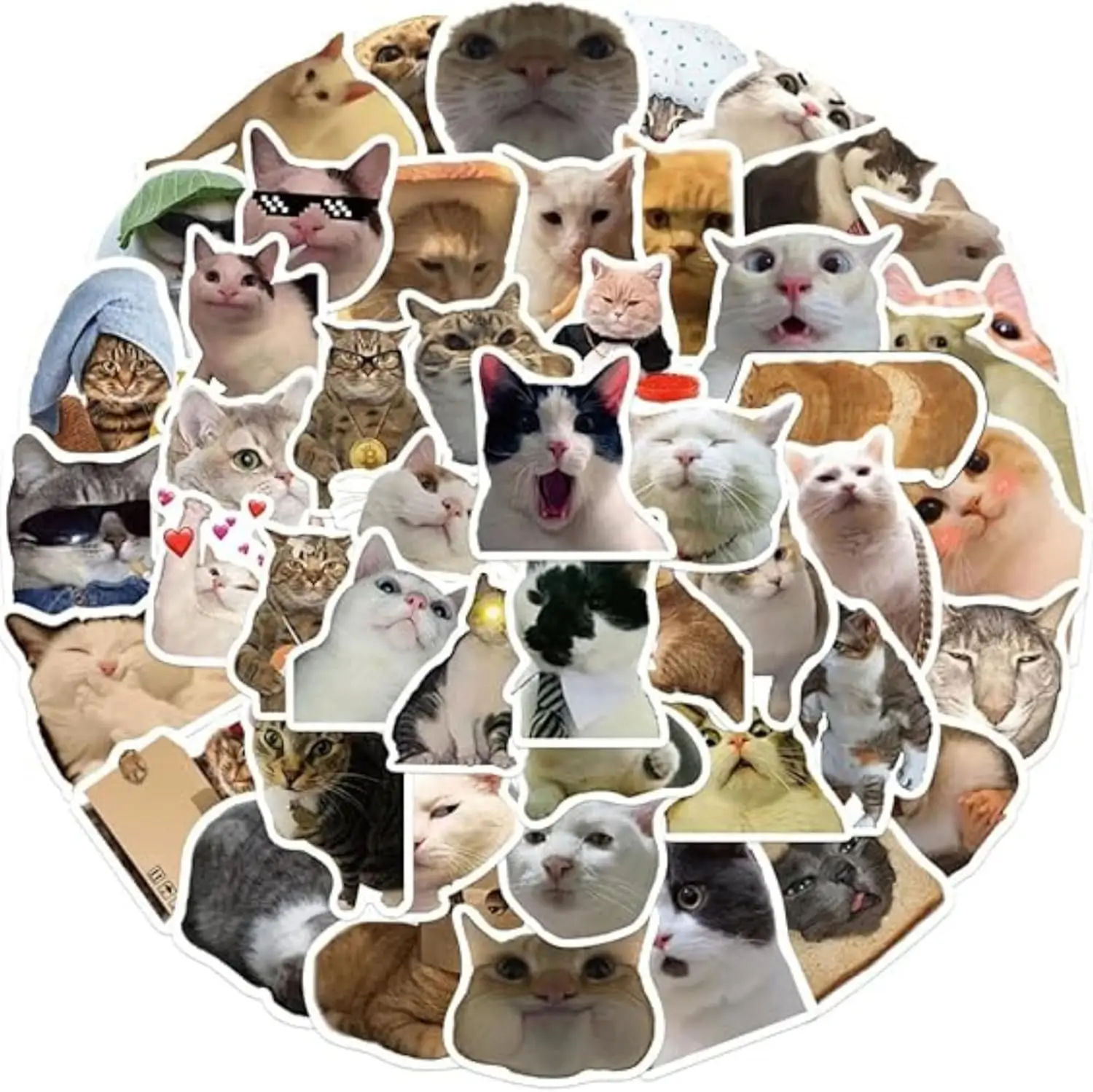 50Pcs 재미 있은 고양이 스티커 방수 귀여운 현실적인 고양이 데칼 노트북 전화 케이스 스크랩북 수하물 DIY 장식 어린이 선물