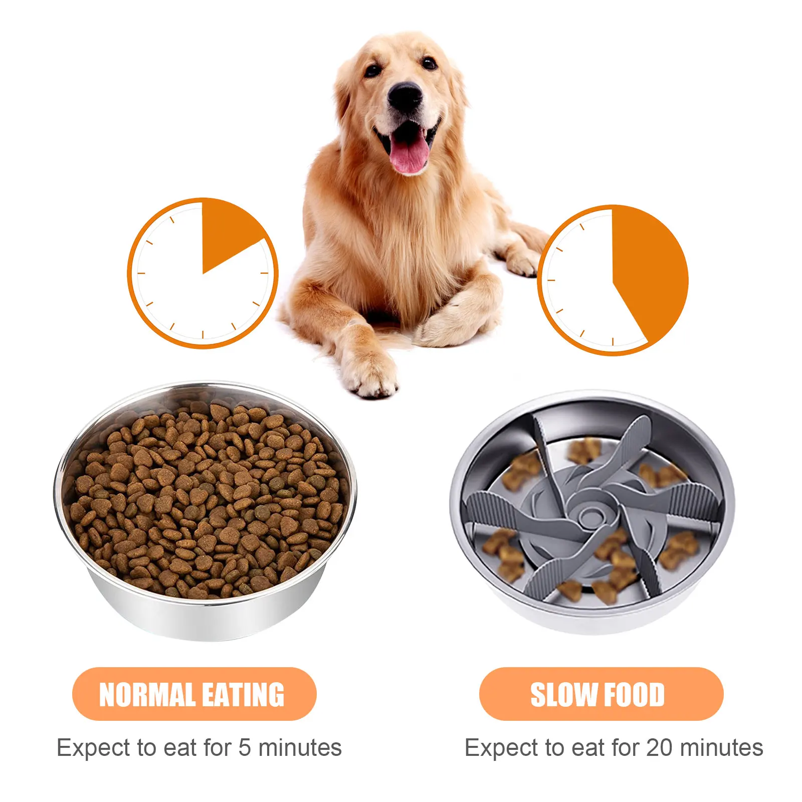 Can Large Dogs Eat Small Dog Food