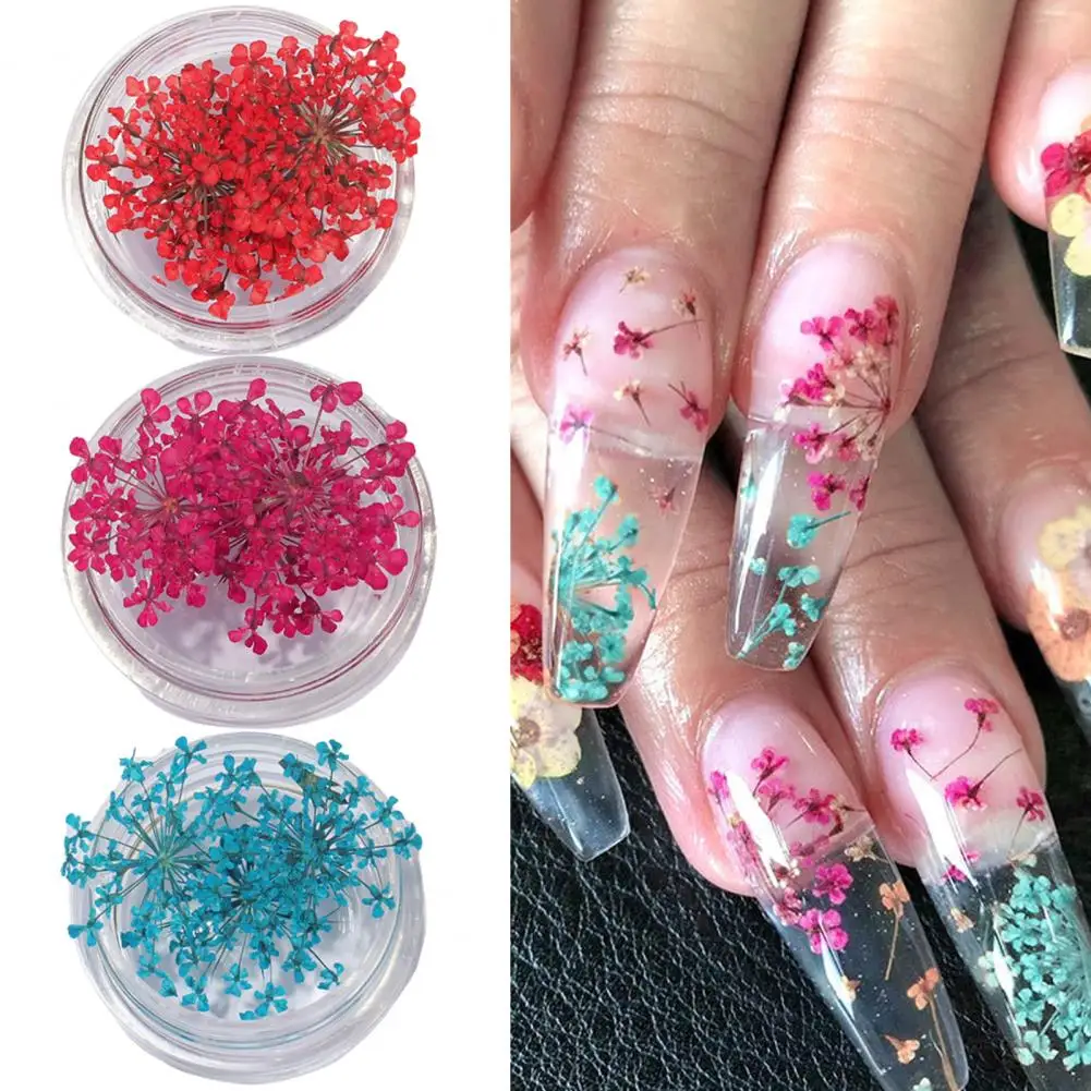 1 Box Exquisite Nails Accessories Nail Art Decorations Non-Fading Natural Dried Flower Nails Art Decorations Decorative