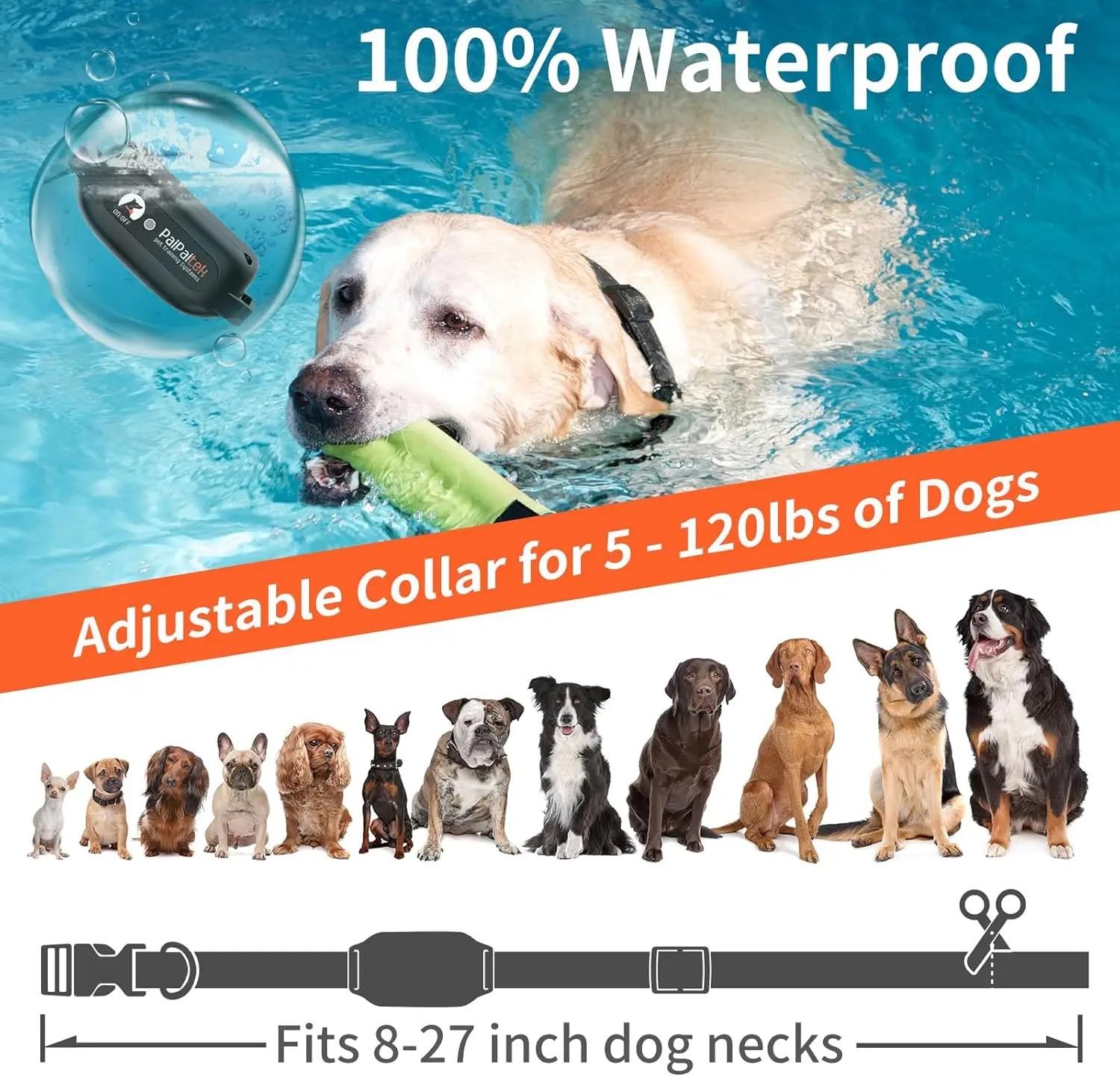No-Shock Dog Training Collar 6