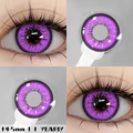 BELLA-Purple