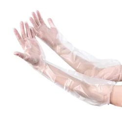 10 - Pack Durable Waterproof Transparent Cleaning Gloves - Long, Thickened, Multifunctional, Disposable Hand Sleeves (10 pieces white 60cm)