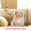 Funny Custom Dog Cat Pillow , Custom Animal Pillow for Friend or Pet, Turn Pet Into Pillow, Custom 3d Shape Pillows 1