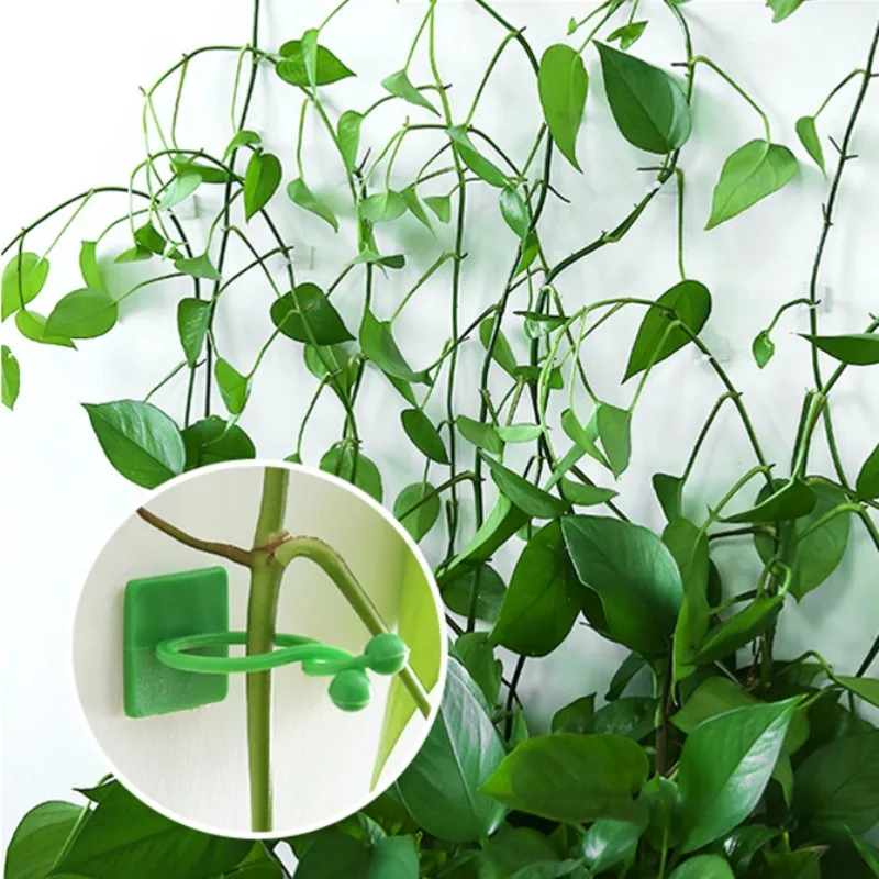 10PCS Leaf-shaped Plant Holder Green Plant Climbing Wall Gods Sticky Hooks Vine Clip Fixer Multifunctional Flower Hangers Holder plastic plant clips plant clips plant adhesive hooks plant wall hooks