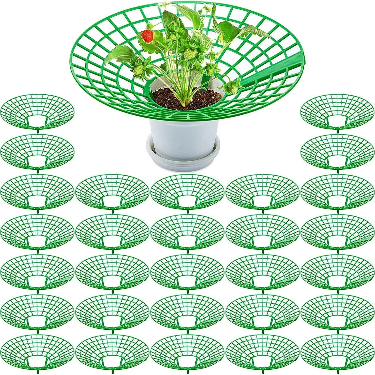 10Pcs-Strawberry-Plant-Supports-with-3-Sturdy-Legs-Strawberry-Growing ...