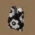 Black Flower