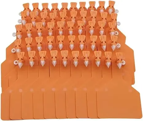 ORANGE 50PCS
