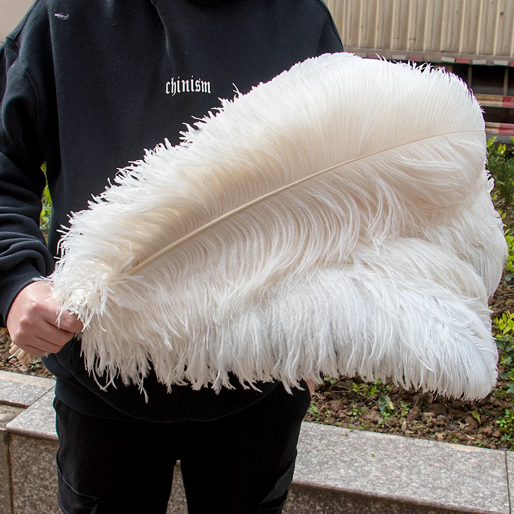 Ostrich Feathers Mixed Color Feathers Craft Feathers Natural Feathers 10Pcs 15-45cm for Party Wedding Home Decor