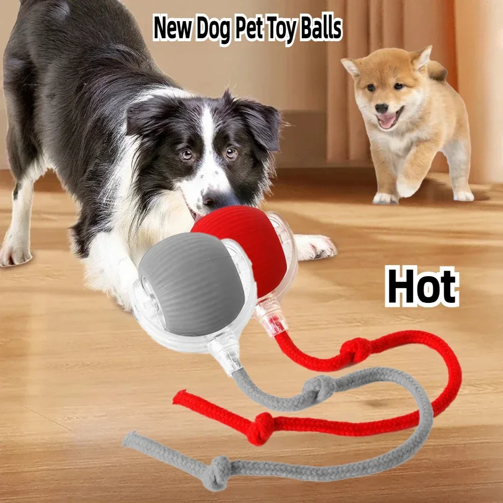 New Electric Dog Ball Toy Simulation Cat Tail Rechargeable Intelligent Pet Interactive Automatic Rolling Ball Toy