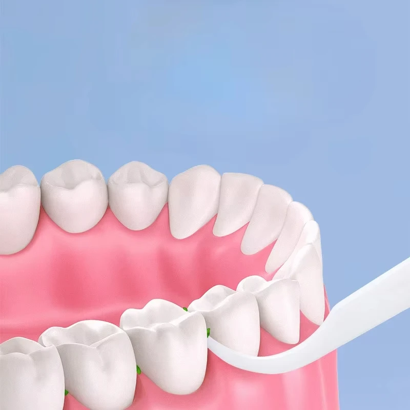 100/300/500 PCS Floss Family Pack Ultra-fine Toothpick Disposable Flat Floss Portable Portable Flossing Double Head Use