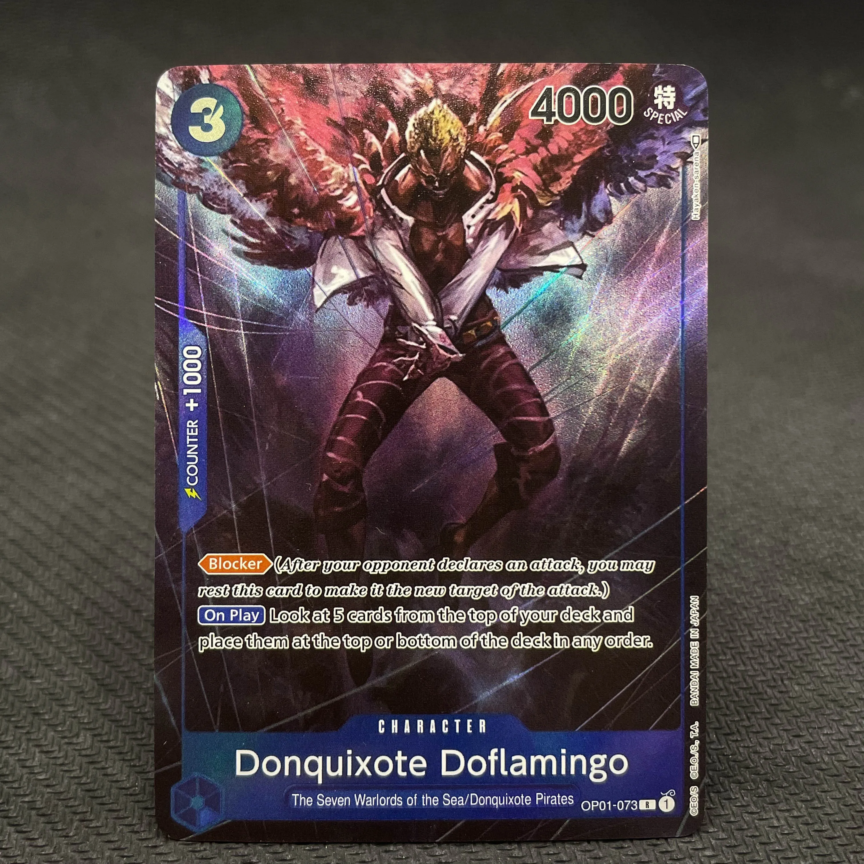 dsc-products