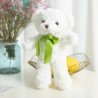 30cm40cm Bear Plush Toys Toys Cute Bear Dress Up Toys Photography Accessories Brithday Gift 6