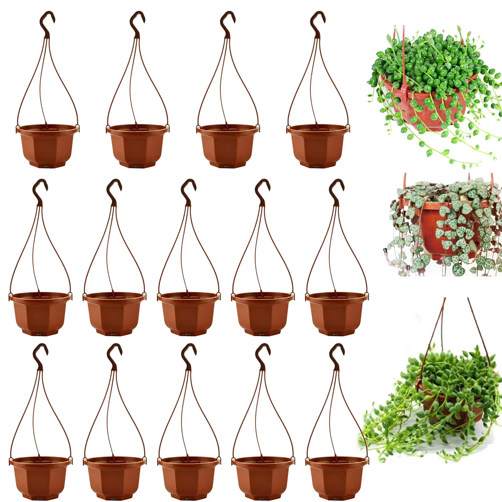14PCS-Plastic-Hanger-Flower-Pot-Chain-Tray-Plant-Basket-Holder-Care-Soil-Orchid-Balcony-Garden-Wall.jpeg 14Db Műanyag Fogas Virágcserép -Tálca Tálca Kosár Tartó Gondozó Talaj Orchidea Erkély Kerti Fal Dekoráció Kültéri Beltéri Beltér - Image 2