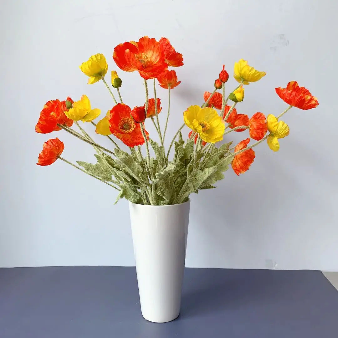    ,   ¥ , Ƽ ǰ,   , DIY ׼