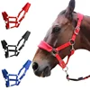 1Pc Soft Padded Pony Horse Halter Bridle Headstall Head Collar Horse Riding Accessories Ergonomic Comfortable Unfettered Halters 3