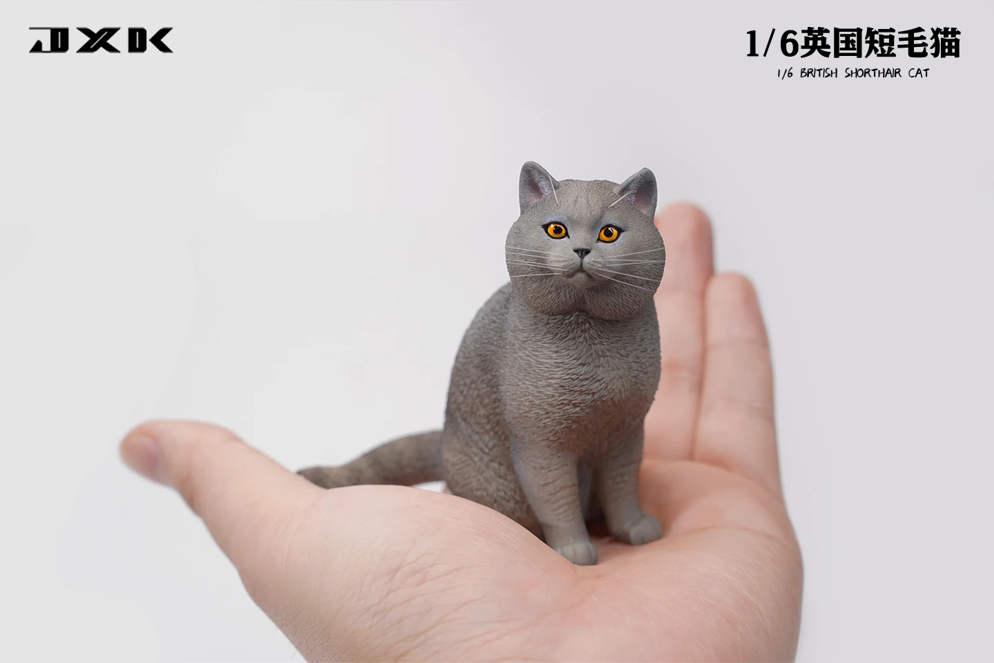 猫ヘリ 英国の短波猫カナシアニマルコレクター、家の装飾、アクション