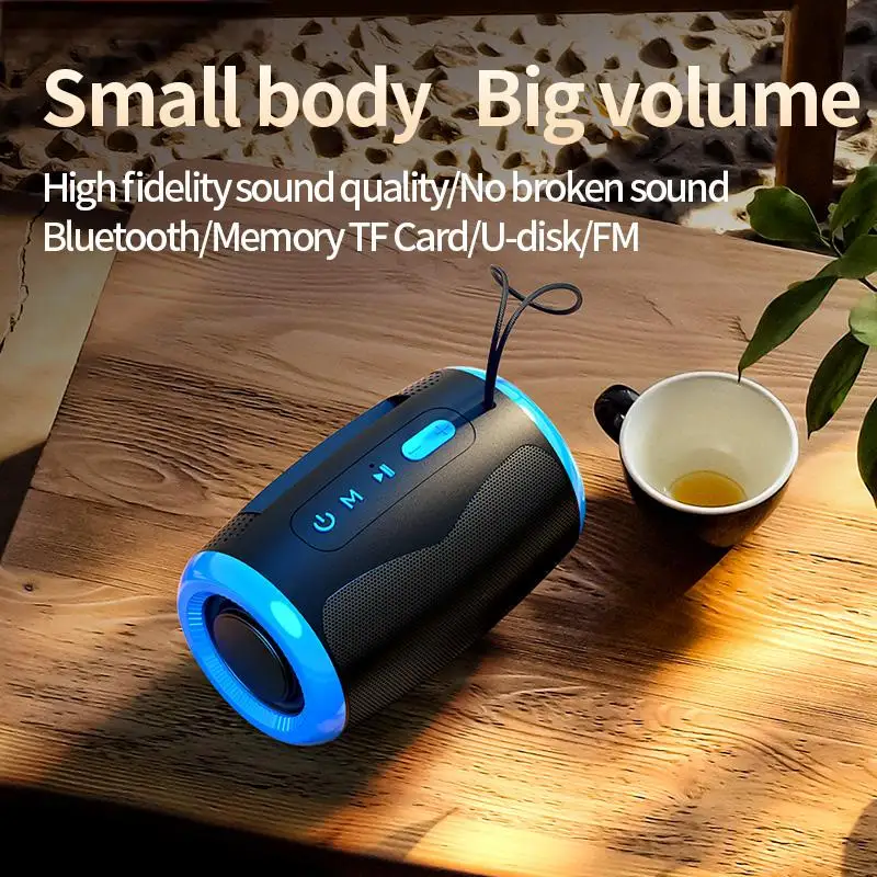 Portable Bluetooth HiFi Speaker 1