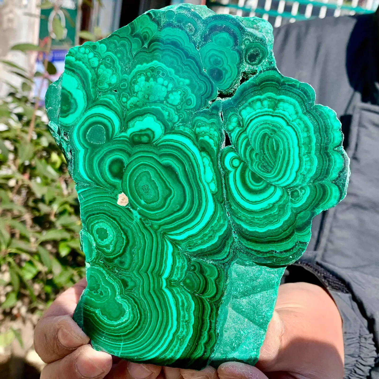 

Natural Glossy Malachite Transparent Cluster Rough Mineral Sample