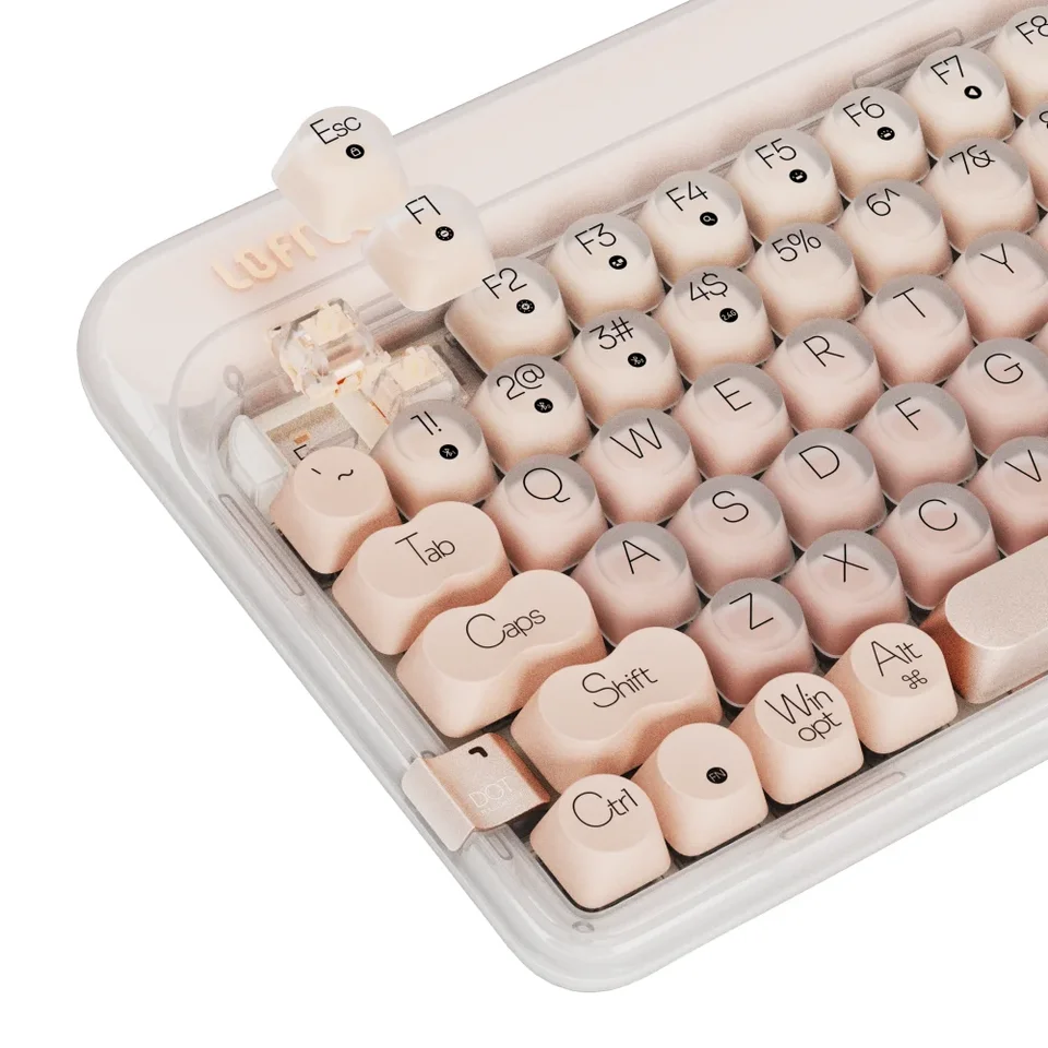 S281821f40c3f42c0afb4defeceb12