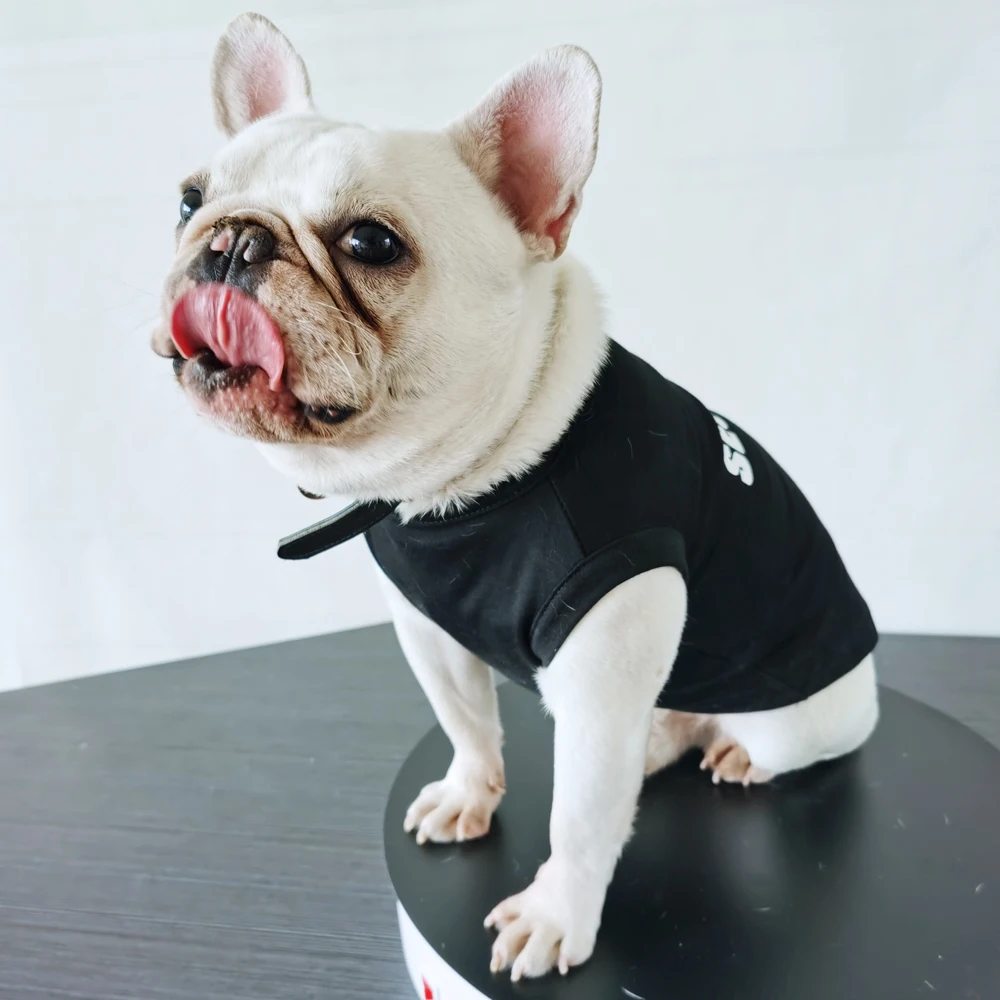 Designer Dog Clothes - Dog Shirts, Dog T-Shirts, Dog Tank Tops – TeaCups,  Puppies & Boutique