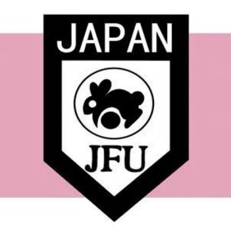 Anime BLUE LOCK Football Armband ISAGI Kaiser Reo Shidou Sae Nagi Ness Guard Uniform Armband Cospaly Soccer Arm-badge