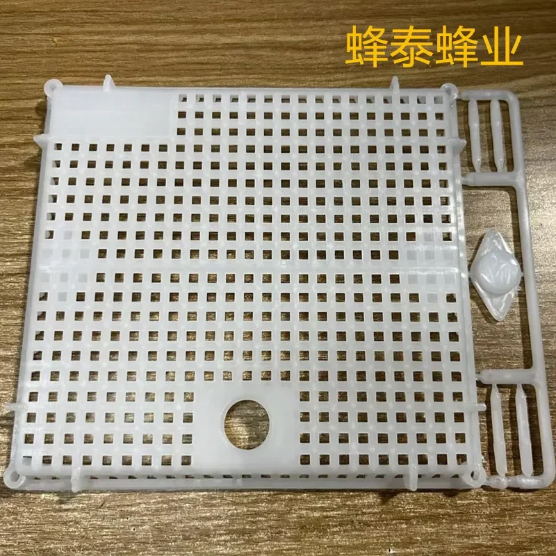 5PCS White square shaped bee queen cage large size Chinese Italian bee plastic queen cage multifunctional king storage device
