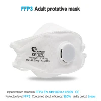 LAIANZHI FFP3 CE Face mask Air valve protective masks pm2.5 masks harmful hygiene mask filter Headwear mouth mask ffp3mask 2