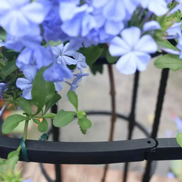 Beltéri Rácsos Leszerelhető Kert Obeliszk Rács Hordozható Cserepes Növényi Hegymászás Virágok Számára Zöldség Gyümölcsök Szőlő - Image 2