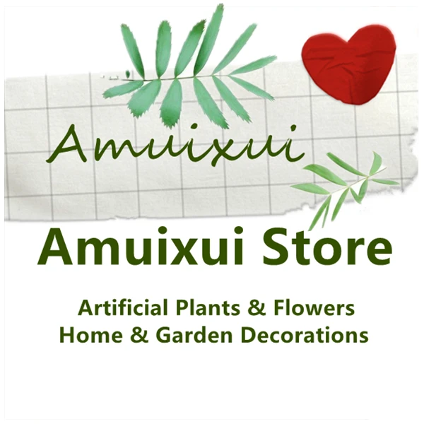 Amuixui Store