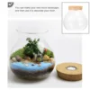 Micro Landscape Glass Bottle Vase Mouth Ball Moss Vase Hydroponic Terrarium Container Fish Tank Bottle With LED Light 4