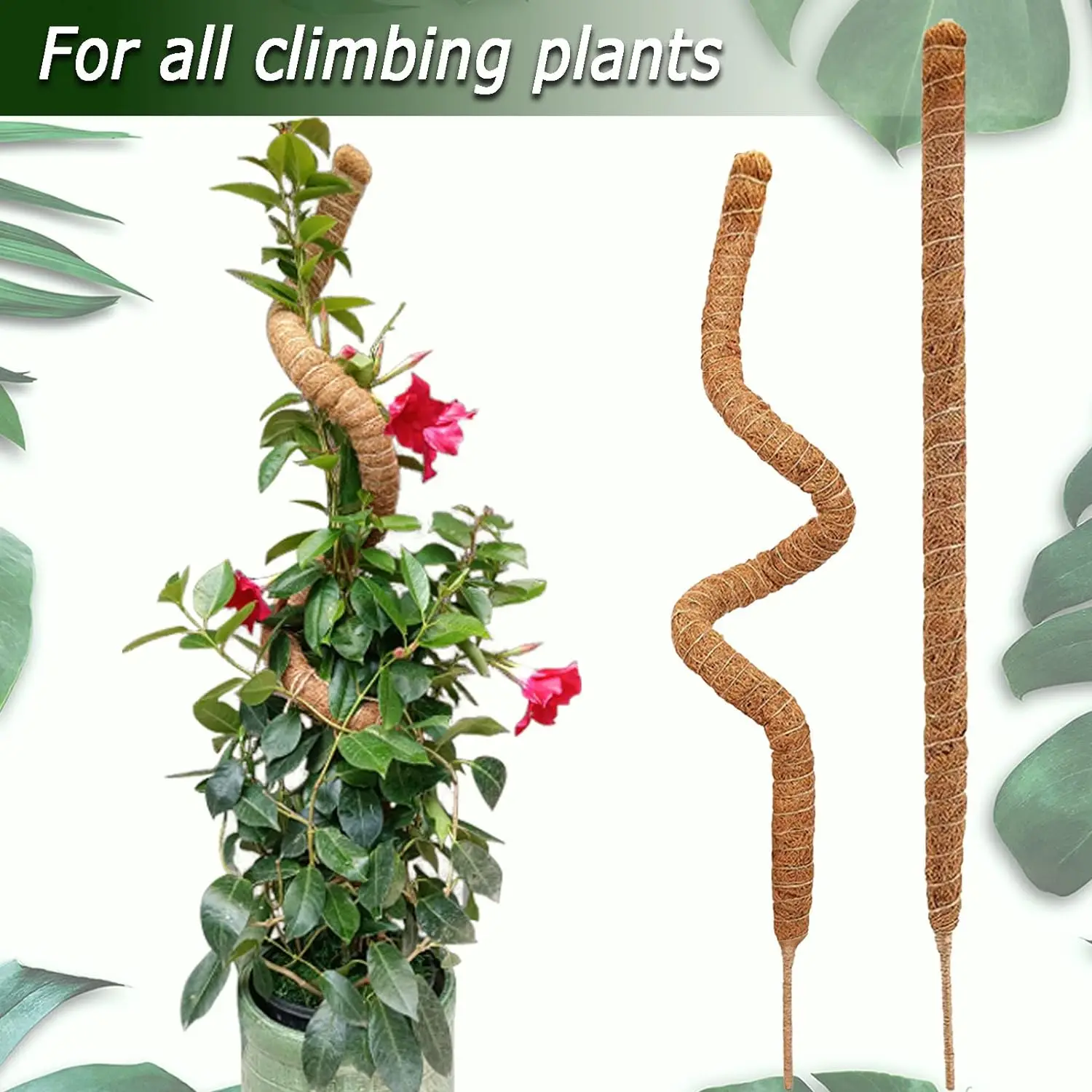 

1Pcs 80cm Moss Pole, Bendable Plants Moss Poles for Climbing Plants, Coir Plant Pole Sticks Support Stakes for Potted Plants