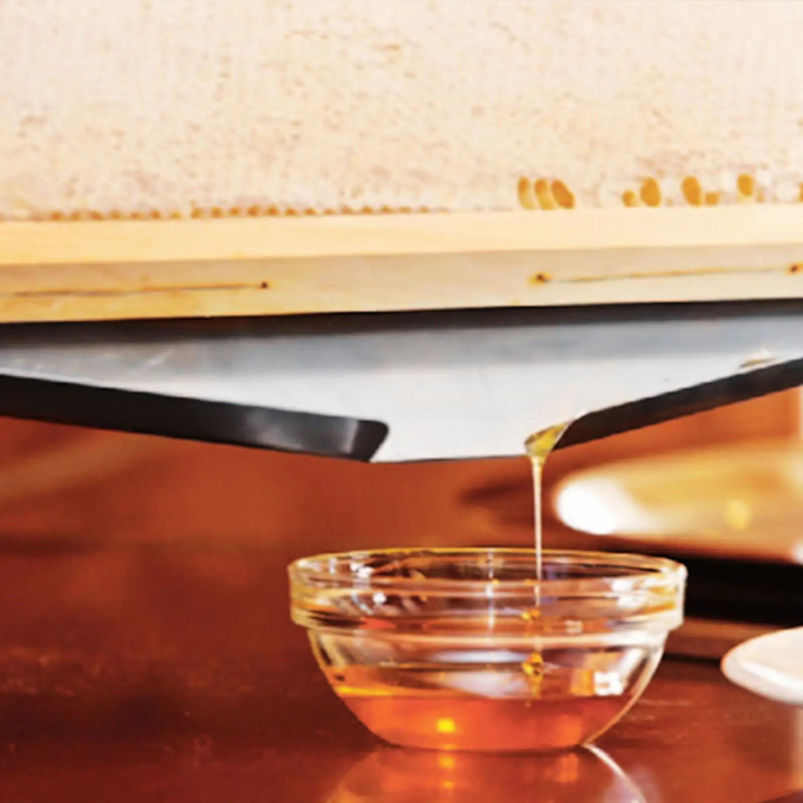 Beehive Frame Holder,Honeycomb Frame Display Stand Honey Extractor Equipment Metal Drip Tray Serving Stand for Home Beekeeper