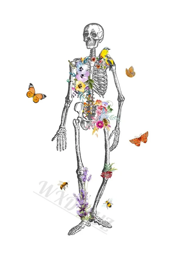 Butterflies Aesthetics Nordic Style Anatomy Art Canvas Print Posters for Home and Hospital Decor