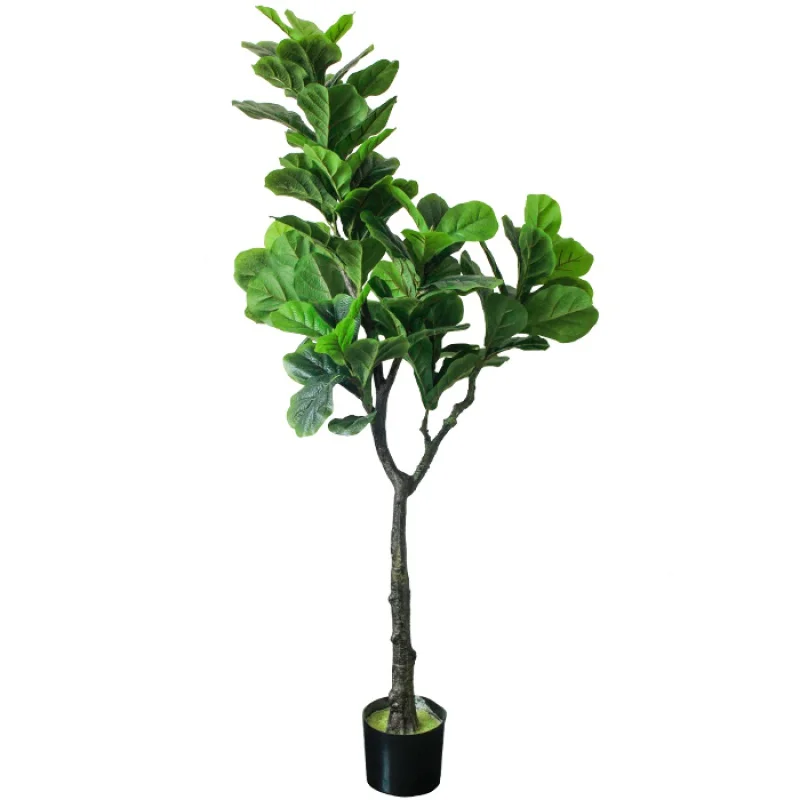 Bonsái de microcarpa para jardín, Planta artificial en maceta, precio barato, proveedor de ficus