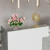 Reception Desk with Shelves,Modern Reception Table with Storage,Front Counter Table Checkout Table Retail Counter Reception Room 5